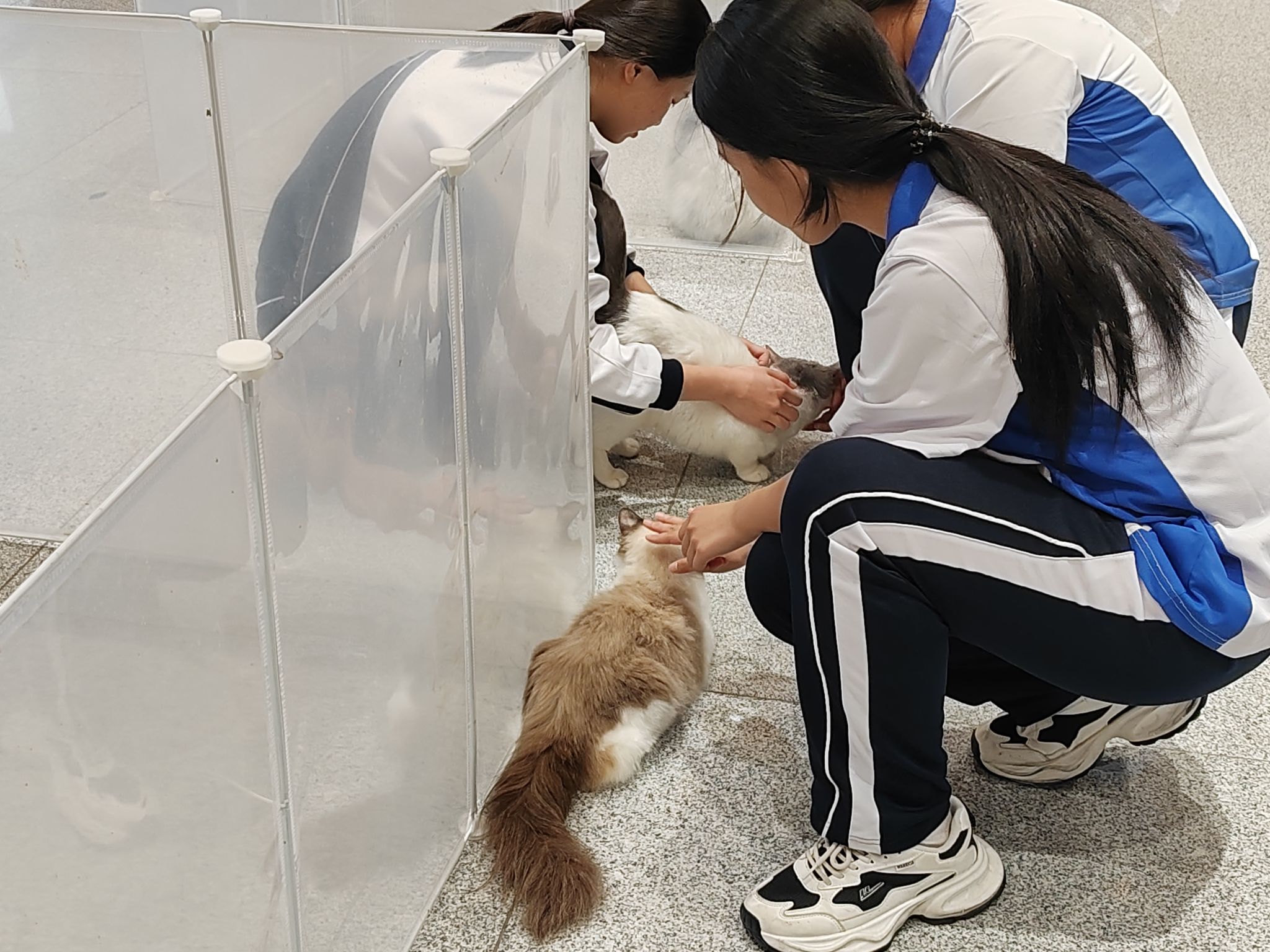 心晴市集5.jpg