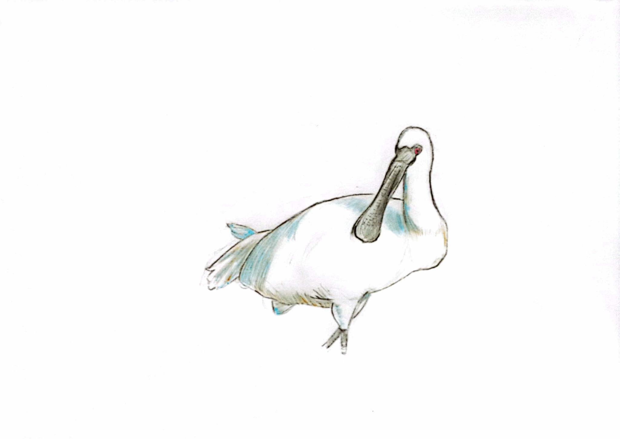 图片29.png